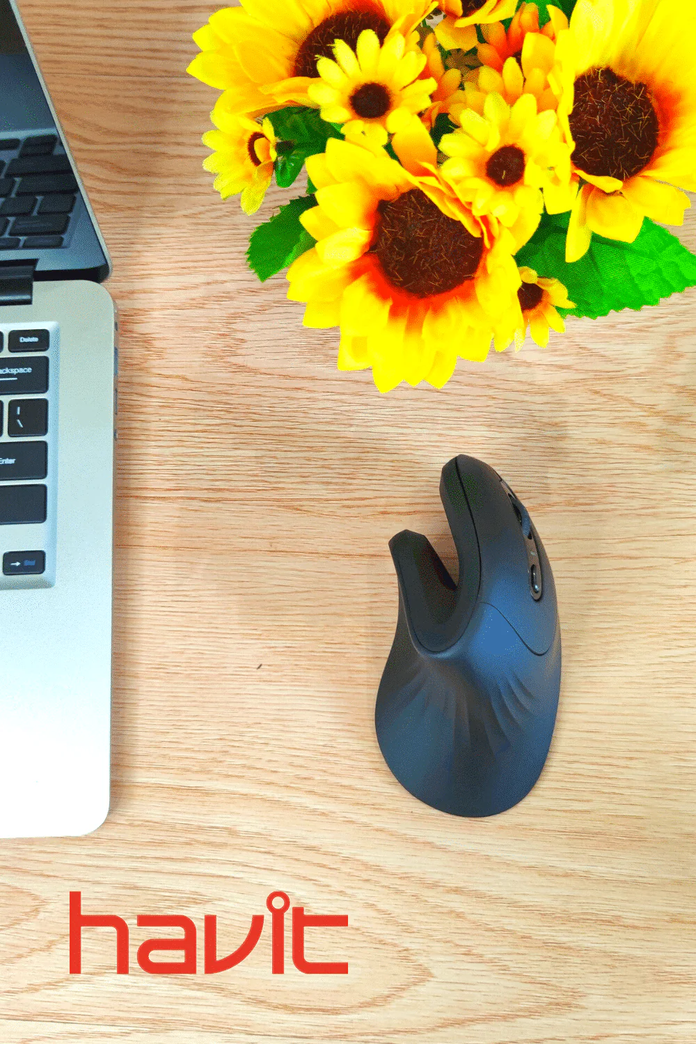 HAVIT HV-MS55GT Wireless Vertical Mouse with Ergonomic Design, Optical - Image 2