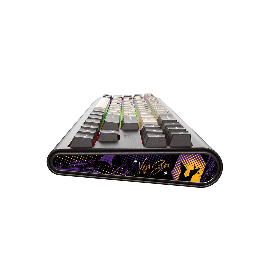 Mechanical Gamer Keyboard HAVIT KB896L RGB - VKS Team Co-branded Model - Image 3
